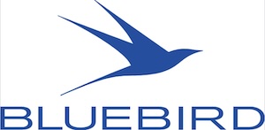 Bluebird Chelsea logo
