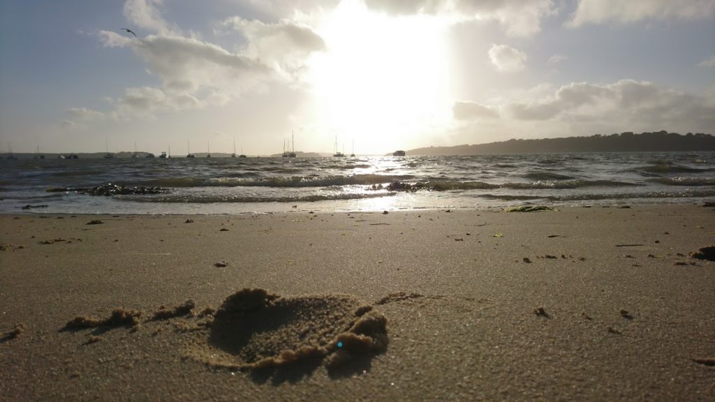 Shell Bay 1024x576