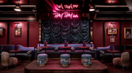 BAM Karaoke Box Private Dining Image2